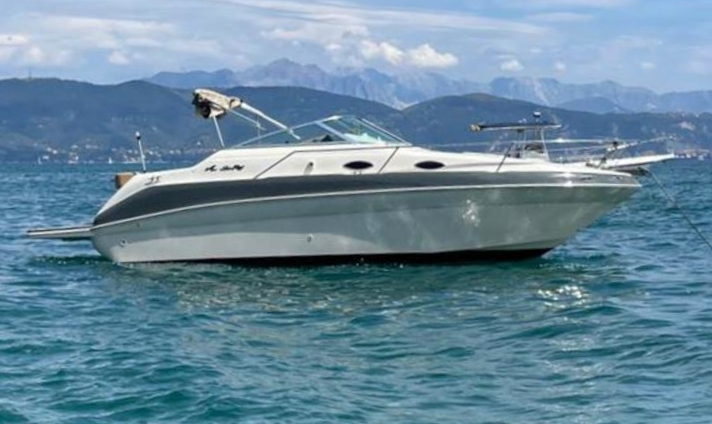 Sea Ray Sundancer 240 DA + Mercruiser 265 hp (Refitting 2022)<br><a href=dettaglio.aspx?Id=28 >VAI ALLA SCHEDA</a>